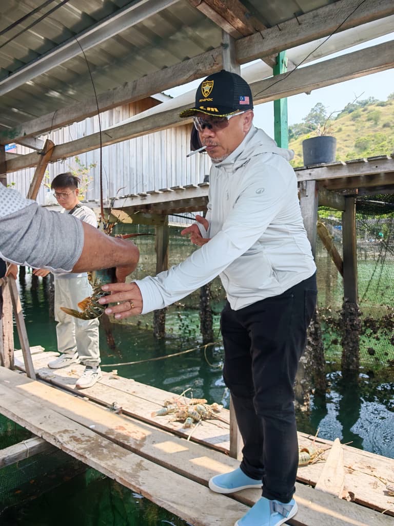 Datuk Zul Hadi examining a spiny lobster at the marine farm