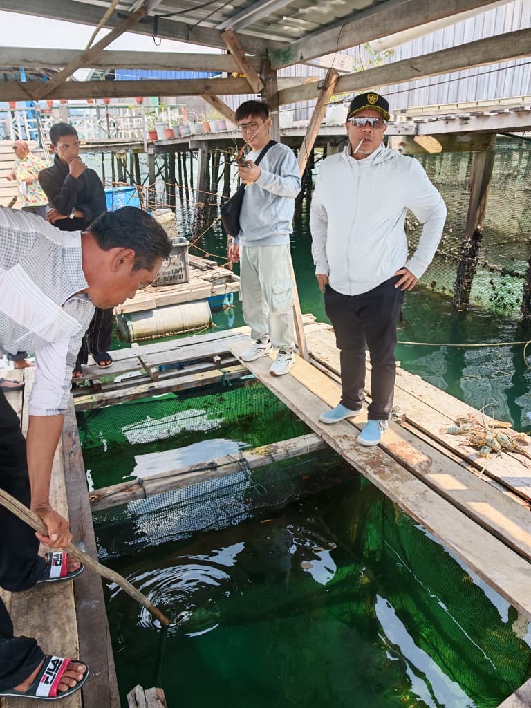 Delegation observing lobster enclosures from the farm walkway