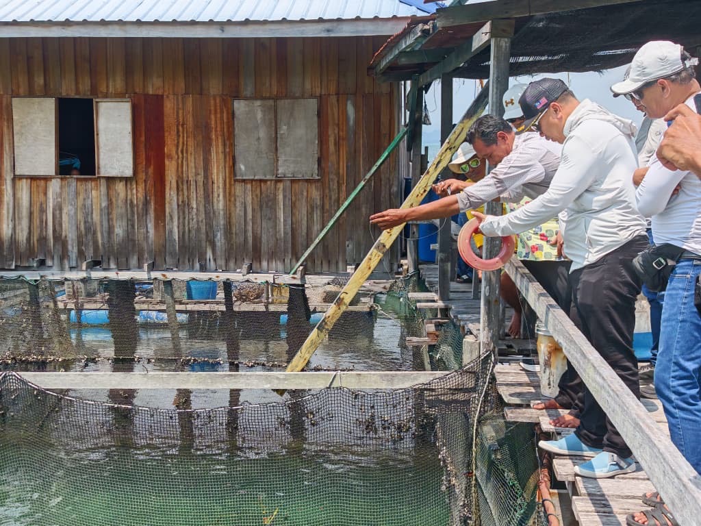 Site team demonstrating a lobster enclosure to the delegation