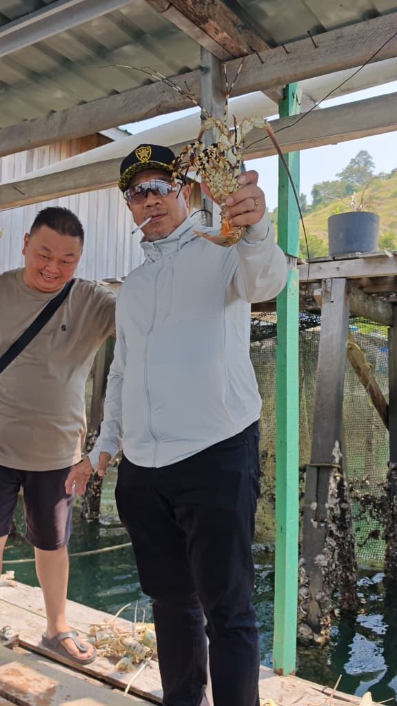 Datuk Zul Hadi presenting a tropical spiny lobster